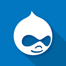 Drupal sviluppo informatico